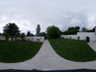 Borex soleil .. image 4