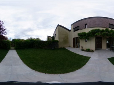 Borex soleil .. image 9