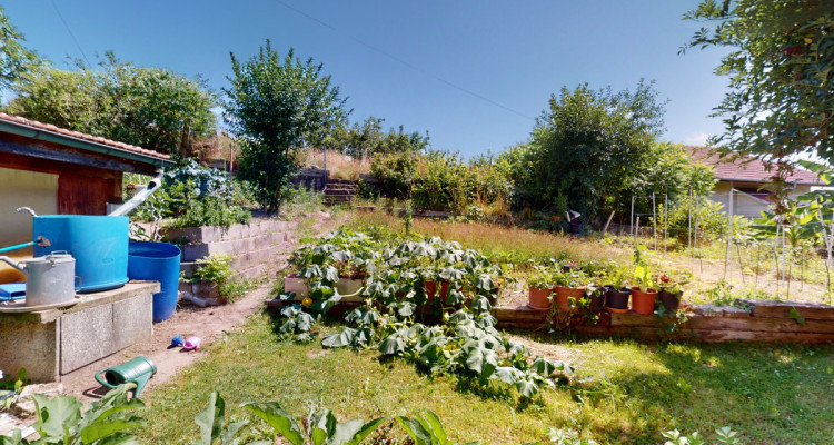 Spacieuse villa individuelle rénovée avec grand jardin potager image 3