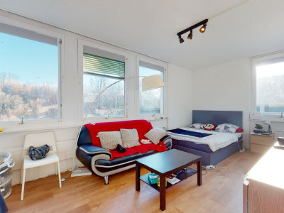 Attique de 5.5 pièces avec rendement net de 7.5 % image 3