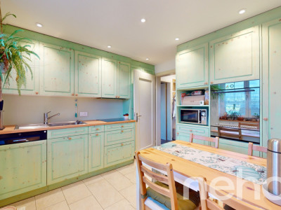 Liegenschaft mit viel Umschwung für Tierhaltung oder Garten image 7