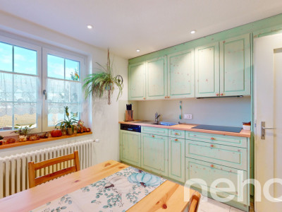 Liegenschaft mit viel Umschwung für Tierhaltung oder Garten image 8