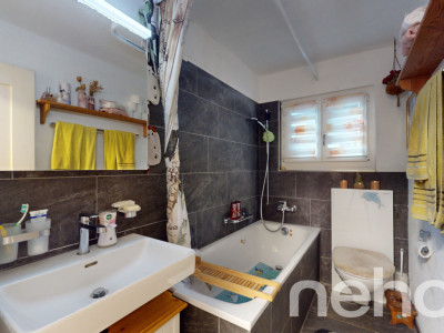 Liegenschaft mit viel Umschwung für Tierhaltung oder Garten image 10