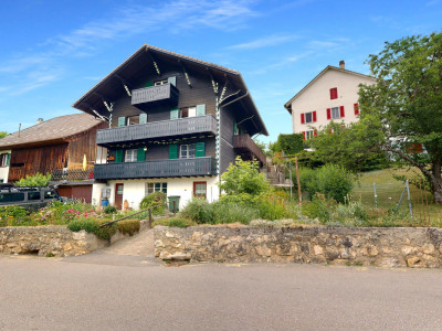 Chalet de charme avec 2 appartements, terrasse, jardin et jolie vue image 1