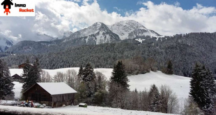 Superbe 5.5 pièces à Chateau-dOex, vue dégagée. image 5