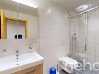 Exclusif : magnifique duplex de 5.5 pièces au centre du vieux village image 7