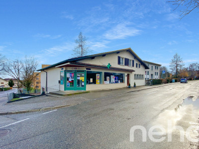 Maison comprenant 1 appartement libre de suite et 1 local commercial ! image 12