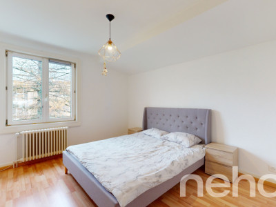 Maison comprenant 1 appartement libre de suite et 1 local commercial ! image 8