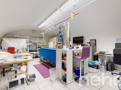 Einzigartiges 2-Familienhaus mit Gewerberäumen und tollem Garten image 11