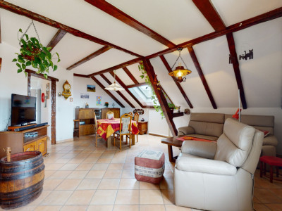 Unique et exclusif à Neuchâtel grande maison avec jardin image 8