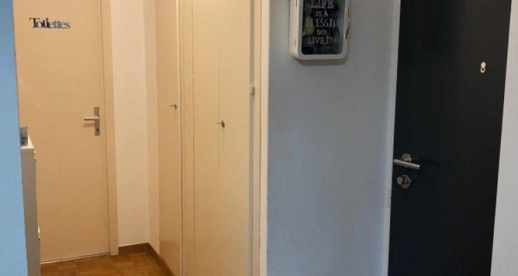 Bel appartement de 3 pièces situé à Genève. image 6