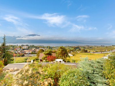 Belle maison individuelle avec vue panoramique sur le lac à Blonay image 10