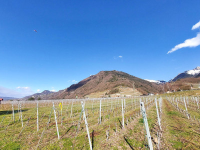 VILLENEUVE - APPARTEMENT AVEC JARDIN - 5.5 PIECES image 3