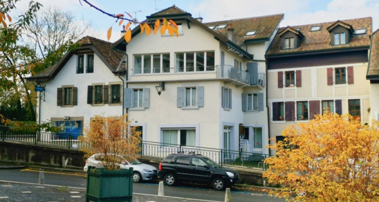 Lot de 3 appartements dans une belle bâtisse à Chêne-Bourg. image 1