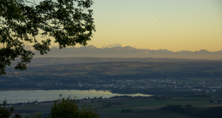Superbe demeure offrant une vue imprenable sur le lac de Neuchâtel ! image 10