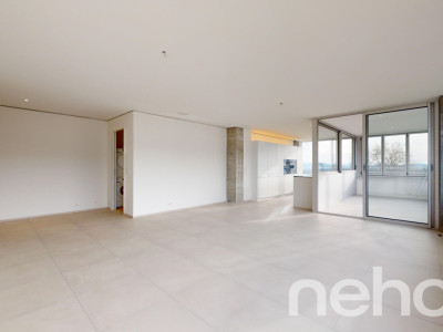 4.5-Zimmer Wohnung im Rhyfalltower image 7