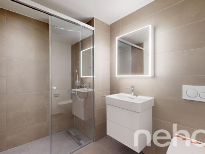 4.5-Zimmer Wohnung im Rhyfalltower image 8