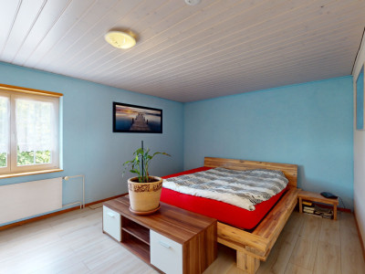 Fabelhaftes 9-Zimmer-Haus mit Einliegerwohnung und Pool image 8