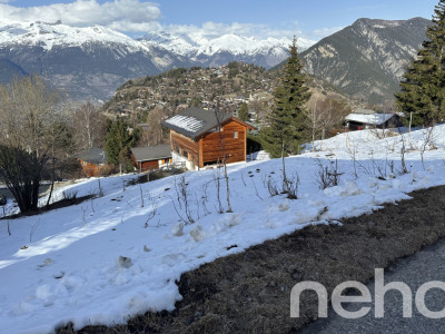 À saisir ! Rare terrain de 757m2 à Vercorin image 12