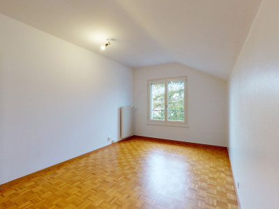 Chemin sans issue image 9