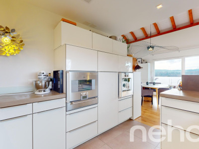 Splendide villa darchitecte avec belle vue sur les Préalpes & le lac image 11