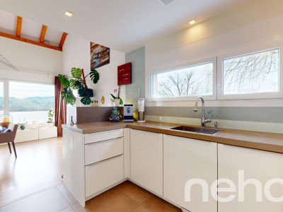 Splendide villa darchitecte avec belle vue sur les Préalpes & le lac image 12