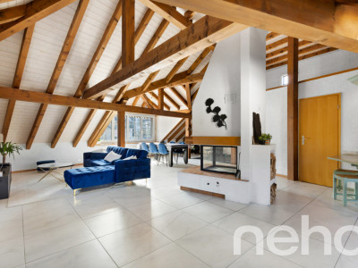 Investissement Immobilier Exceptionnel à Boudry image 3