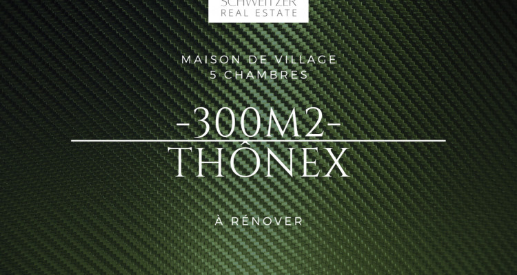 Maison de Village Thônex image 1