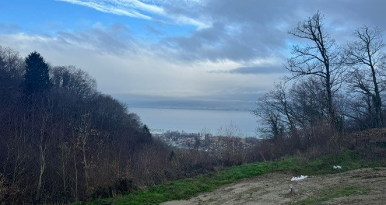 Villa jumelle 5,5p avec vue sur le lac de Neuchâtel image 1