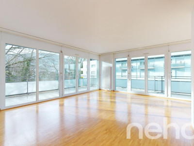 Face à la rivière le Foron et sa forêt image 3