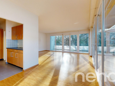 Face à la rivière le Foron et sa forêt image 2