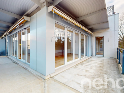 Face à la rivière le Foron et sa forêt image 4