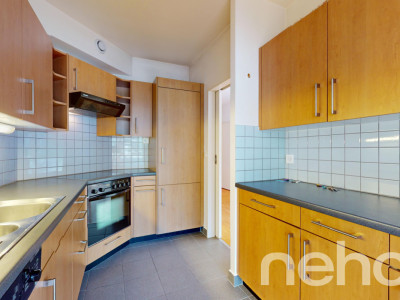 Face à la rivière le Foron et sa forêt image 5