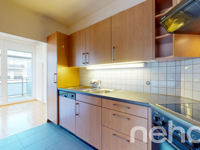 Face à la rivière le Foron et sa forêt image 6