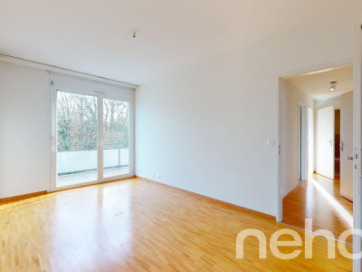 Face à la rivière le Foron et sa forêt image 7