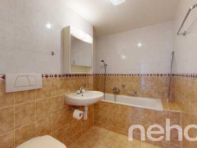 Face à la rivière le Foron et sa forêt image 8