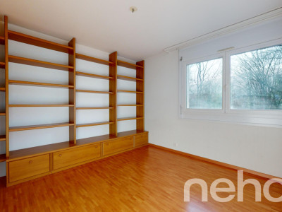 Face à la rivière le Foron et sa forêt image 9