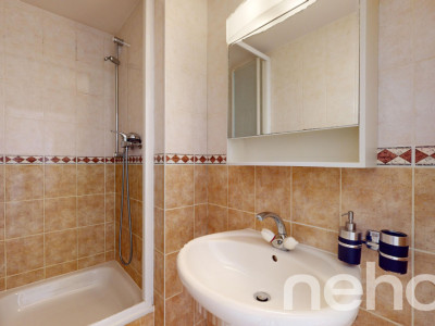 Face à la rivière le Foron et sa forêt image 10