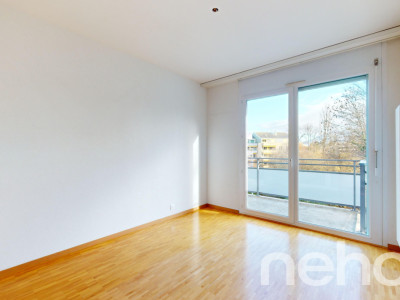 Face à la rivière le Foron et sa forêt image 11