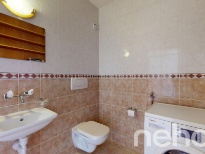 Face à la rivière le Foron et sa forêt image 12