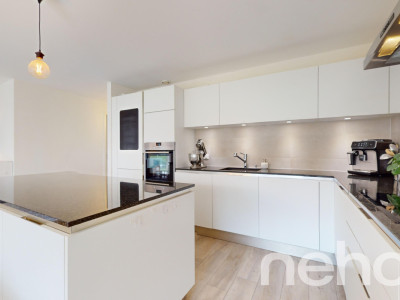 Superbe appartement de 4,5 Pièces au calme absolu à Lausanne image 5