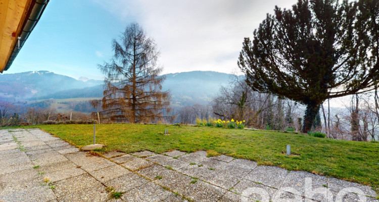 Magnifique villa rénovée dans les Hauts des Monts de Corsier image 9