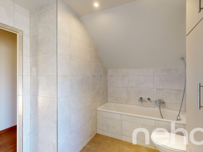 Attraktives 5.5-Zimmer Einfamilienhaus mit grossem Garten image 10