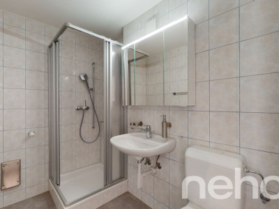 Sanierte und lichtdurchflutete 4.5-Zimmer-Stadtwohnung image 12