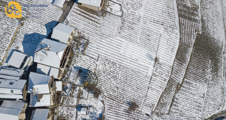 Ollon - Immeuble Historique avec Granges à Rénover image 5