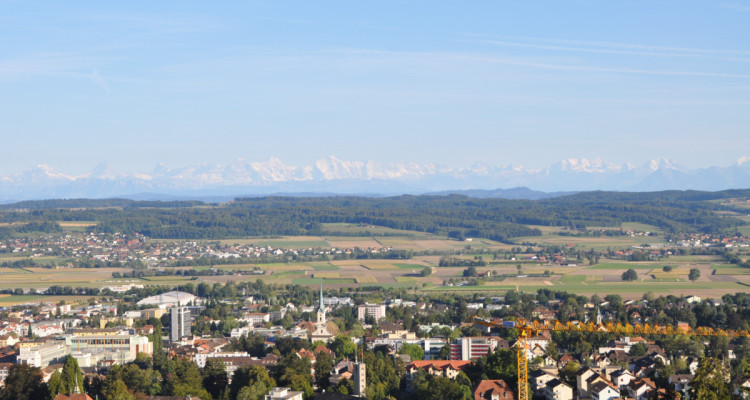 Exklusives Einfamilienhaus mit Wellness-Oase und Alpen-Panoramablick image 1