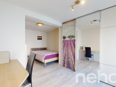 Einfamilienhaus mit 2 Einliegerwohnungen an ruhiger Lage in Brunnen image 10