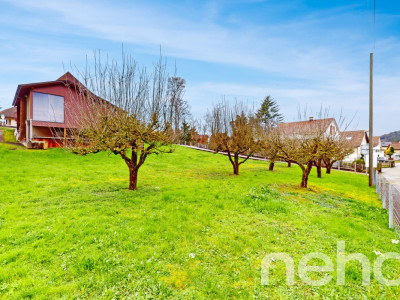 Ihr Traumgrundstück in Rothrist! image 8