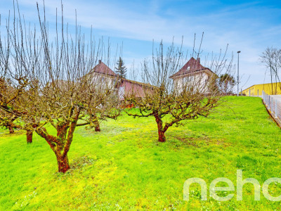 Ihr Traumgrundstück in Rothrist! image 9