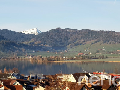 5.5-Zimmer Terrassenwohnung mit atemberaubender Aussicht image 12